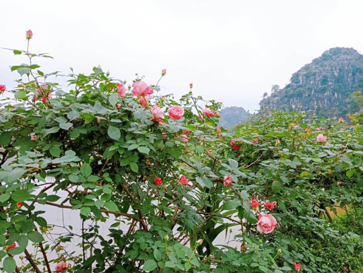 Ninh Binh Green Farmstay La Phu  Екстериор снимка