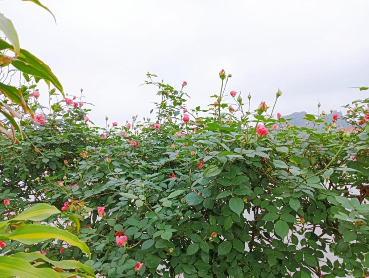 Ninh Binh Green Farmstay La Phu  Екстериор снимка